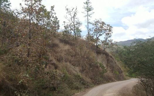 Propiedad en Yoro 4,000 Manzanas