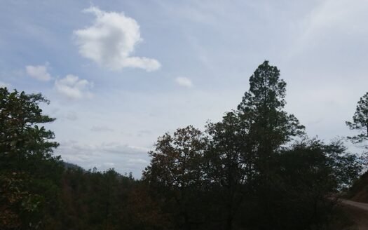 Propiedad en Yoro 4,000 Manzanas