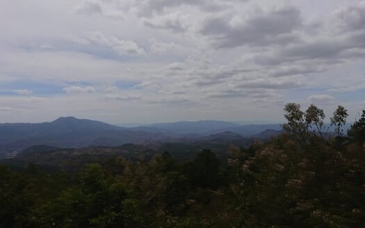 Propiedad en Yoro 4,000 Manzanas