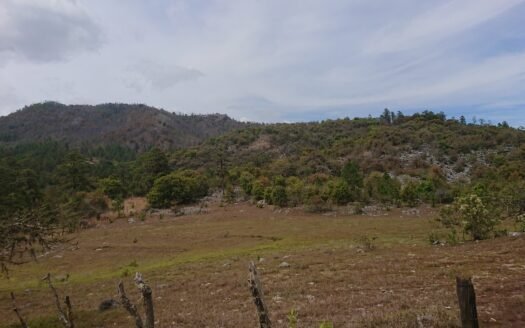 Propiedad en Yoro 17,000 Manzanas