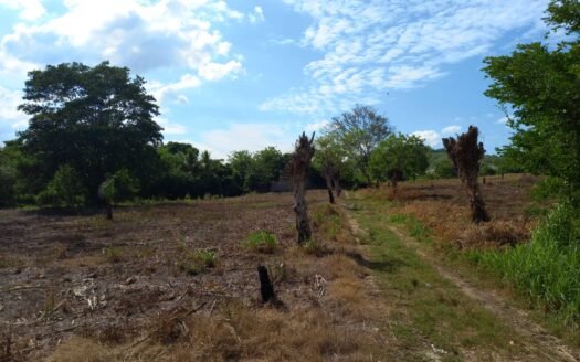 Terreno en Sector Jucutuma Financiamiento Disponible