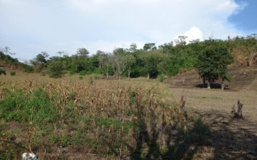 Terreno en Sector Jucutuma Financiamiento Disponible