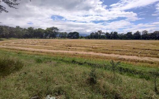 SE VENDE TERRENO EN COMAYAGUA