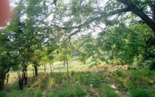 SE VENDE TERRENO EN QUEBRADA SECA, CHOLOMA, CORTES