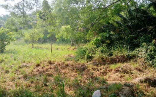 SE VENDE TERRENO EN QUEBRADA SECA, CHOLOMA, CORTES