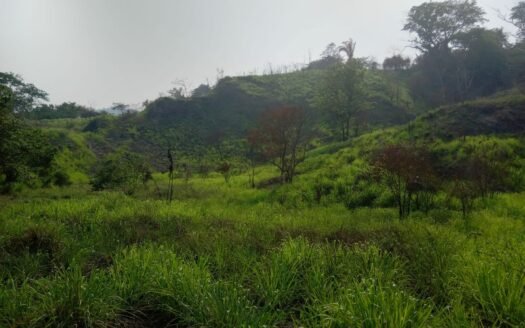 SE VENDE TERRENO EN QUEBRADA SECA, CHOLOMA, CORTES