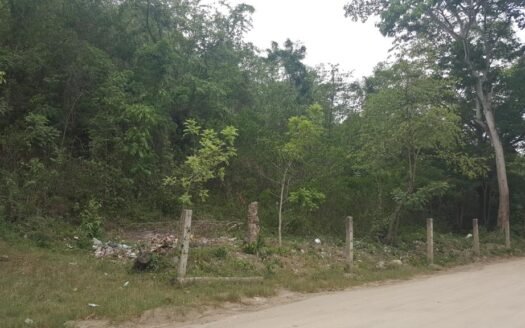 VENTA DE TERRENO EN COLONIA SAN FRANCISCO, CHOLOMA, CORTES