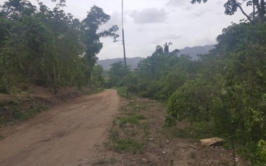 VENTA DE TERRENO EN COLONIA SAN FRANCISCO, CHOLOMA, CORTES