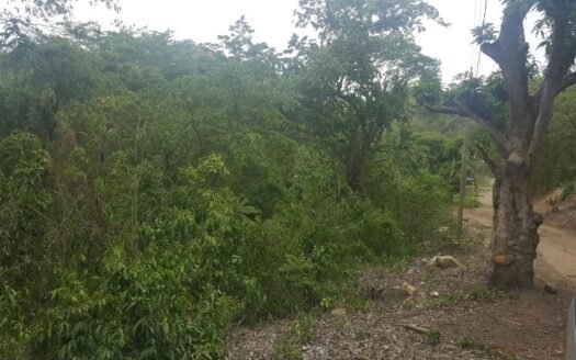 VENTA DE TERRENO EN COLONIA SAN FRANCISCO, CHOLOMA, CORTES