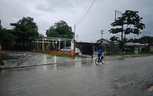 Tres terrenos ubicados en Zona Comercial en Choloma