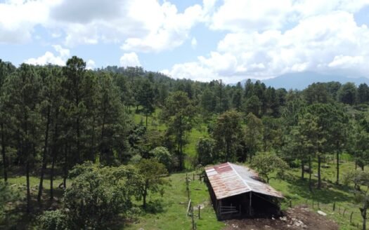 SE VENDE TERRENO EN LA ESCRIBANA, SANTA CRUZ DE YOJOA