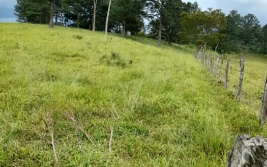 SE VENDE TERRENO EN LA ESCRIBANA, SANTA CRUZ DE YOJOA